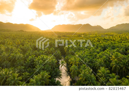 View over sunset over Amazon river with rainforest in Brazil. 82815467