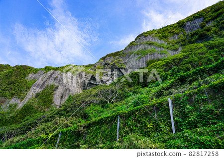 立岩越後七浦海濱線絕景（新潟縣新潟市西關區） 82817258