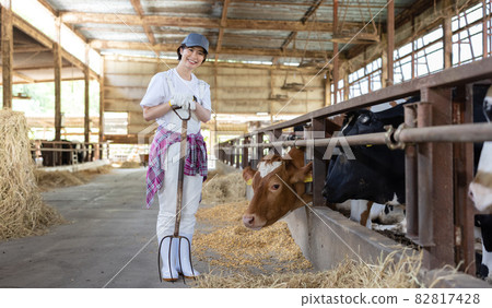 Young dairy farmer working on a ranch 82817428