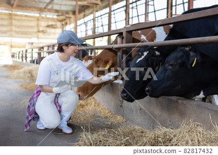 Young dairy farmer working on a ranch 82817432