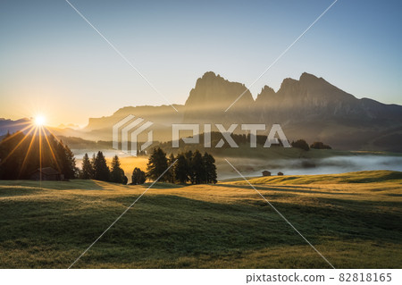 Alpe di Siusi at sunny morning sunrise, Dolomites mountains, Italy Alpe di Siusi at sunny morning sunrise, Dolomites mountains, Italy 82818165