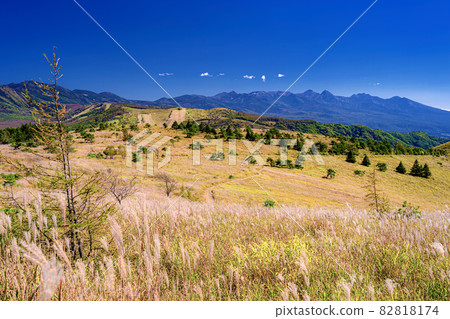 Chino City, Nagano Prefecture The scenery of Minami Yatsugatake seen from the Kuruma mountain trail in early autumn 82818174