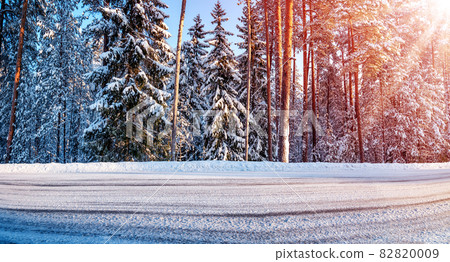 Beautiful forest in winter on the sunny day Beautiful forest in winter on the sunny day 82820009