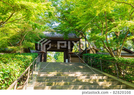 初秋鎌倉圓樂寺正門 82820108