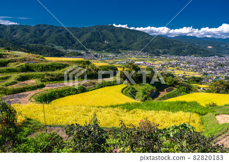 《Nagano Prefecture》 Golden countryside, Obasute terraced rice fields 《Nagano Prefecture》 Golden countryside, Obasute terraced rice fields 82820183