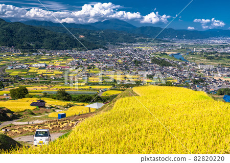 《Nagano Prefecture》 Golden countryside, Obasute terraced rice fields 《Nagano Prefecture》 Golden countryside, Obasute terraced rice fields 82820220