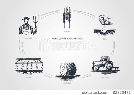 Agriculture and Farming -farmer, soil, wheat, plant, harvest, fertilizer vector concept set Agriculture and Farming -farmer, soil, wheat, plant, harvest, fertilizer vector concept set 82820471
