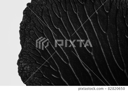 I painted acrylic colors on white paper and I folded the paper together similar to the rorschach inkblot method that create the texture of mixed acrylic colors. 82820650