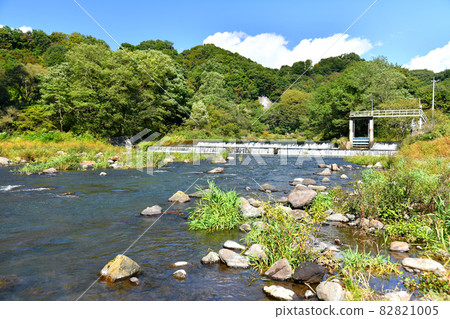 Yukawa Keiryu (Miyota Town, Nagano Prefecture) [2021.10] 82821005