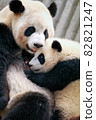 Mother panda feeding baby panda 82821247