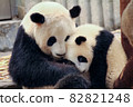 Baby panda that can be spoiled by mother panda 82821248