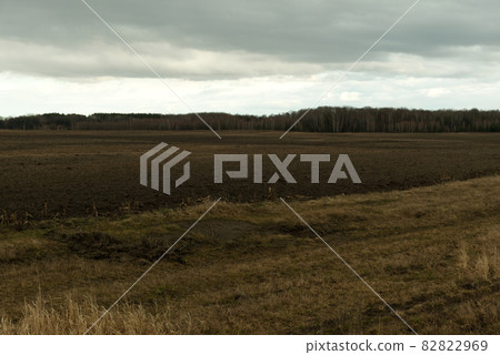 Grove behind a plowed field. Moody landscape. 82822969