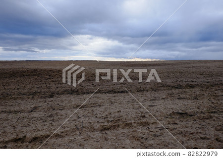 Horizon over agricultural fields in the evening. Overcast landscape. Horizon over agricultural fields in the evening. Overcast landscape. 82822979