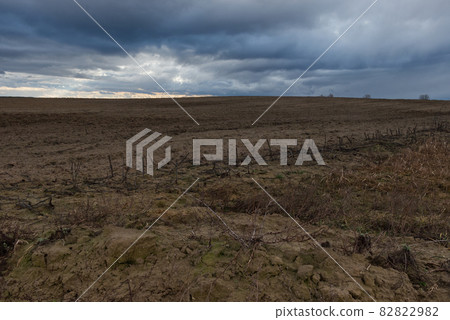 Horizon over agricultural fields in the evening. Overcast landscape. 82822982