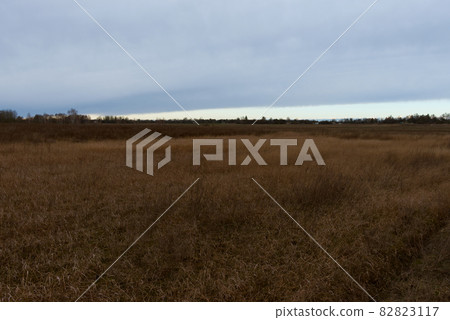 Wilted steppe grasses. Cloudy steppe landscape in the evening. Wilted steppe grasses. Cloudy steppe landscape in the evening. 82823117