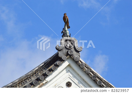 Looking up at the southwest corner turret of Nijo Castle in Kyoto on a clear autumn morning, I found a black kite 82823957