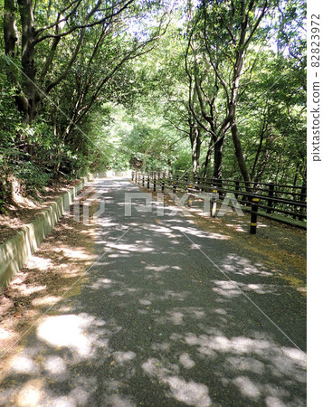 櫻山散步道 82823972