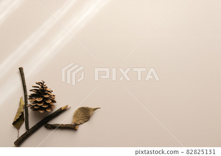Image of shining light with twigs and dead leaves lined up diagonally to the lower left 82825131