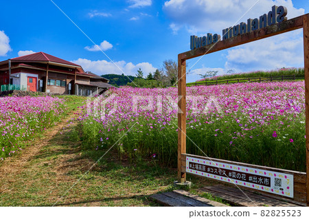 Listed plateau in autumn, Cosmos 82825523