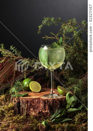Gin and Tonic cocktail with lime and mint. Gin and Tonic cocktail with lime and mint. 82825567