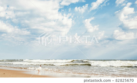 Seagull on a sandy beach against the background of the Baltic Sea 82825670