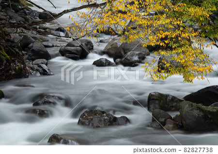 [北海道美瑛町] 黃葉江流十月 82827738