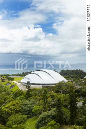 View from the observation deck of Amami Park, Kagoshima Prefecture View from the observation deck of Amami Park, Kagoshima Prefecture 82827751