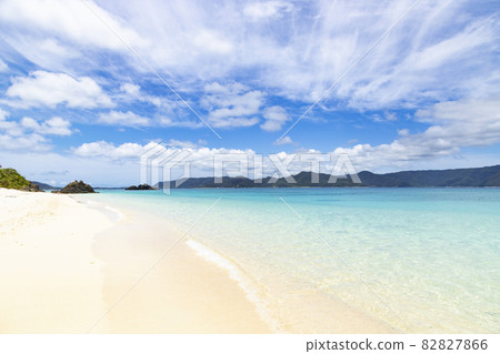 Amami Oshima Sakihara Beach 82827866