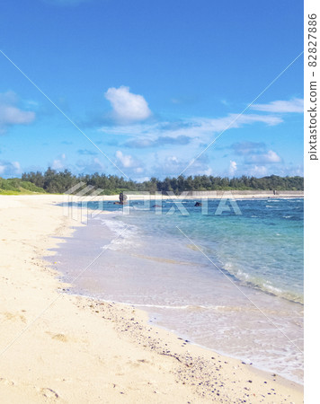 Amami Oshima Tomori Beach 82827886