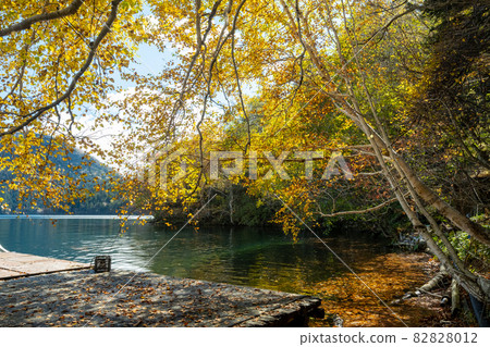 Shibetsu湖秋葉 82828012