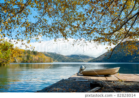 Shibetsu湖秋葉 Shibetsu湖秋葉 82828014