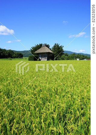 Tono Heritage Autumn Aragami Shrine 82828056