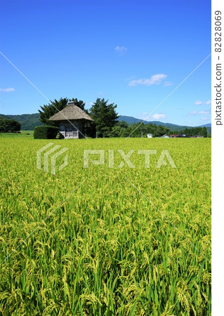 Tono Heritage Autumn Aragami Shrine 82828069