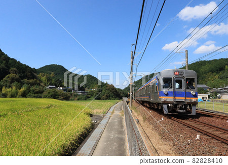 南海高野線千早口站附近運行的6500系列列車 82828410