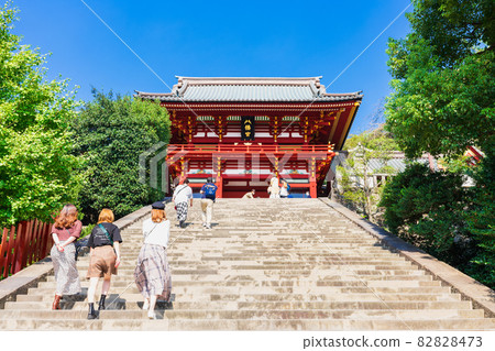 Early autumn Kamakura Tsurugaoka Hachimangu main shrine Early autumn Kamakura Tsurugaoka Hachimangu main shrine 82828473