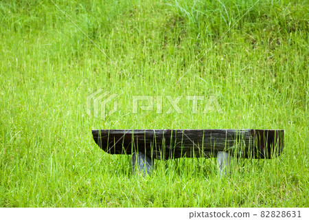 Wooden bench in the park buried in summer grass 82828631