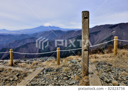 從丹澤山的山之登山頂眺望富士山 82828736