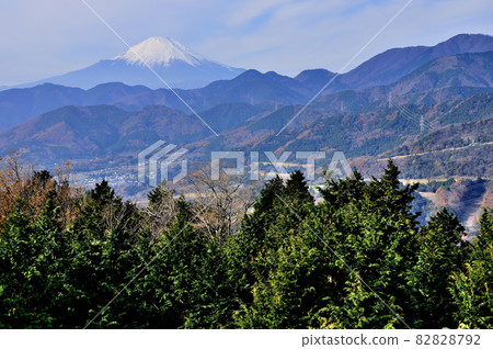 Mt. Fuji seen from Nanohana Terrace, Hadano City, Kanagawa Prefecture 82828792