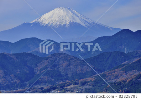 Mt. Fuji seen from Nanohana Terrace, Hadano City, Kanagawa Prefecture Mt. Fuji seen from Nanohana Terrace, Hadano City, Kanagawa Prefecture 82828793