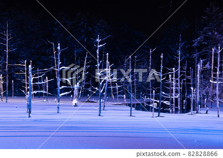 Illuminated winter fantastic blue pond Biei Town Illuminated winter fantastic blue pond Biei Town 82828866