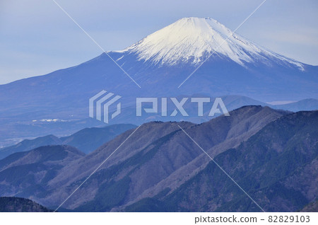 從表嶺山能登眺望富士山和丹澤山 從表嶺山能登眺望富士山和丹澤山 82829103