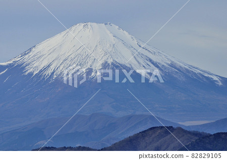 View Mt. Fuji from the Sannoto on the Omote Ridge of the Tanzawa Mountains View Mt. Fuji from the Sannoto on the Omote Ridge of the Tanzawa Mountains 82829105