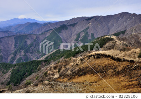 從表嶺山能登眺望富士山和丹澤山 82829106
