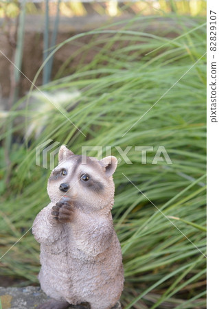 浣熊對象 浣熊對象 82829107