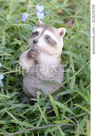 浣熊對象 82829108