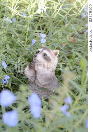 浣熊對象 82829109