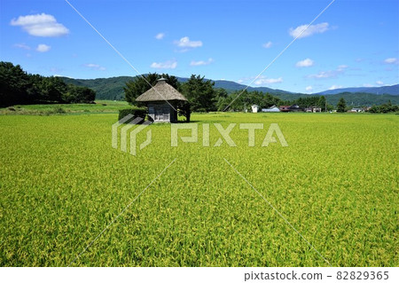 Tono Heritage Autumn Aragami Shrine 82829365