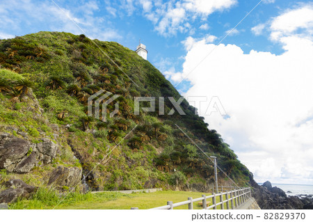 Amami Oshima Northernmost Kasarizaki Lighthouse 82829370