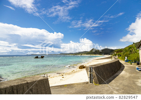 奄美大島海岸 82829547