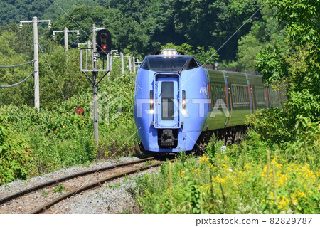 283 series pneumatic car 82829787